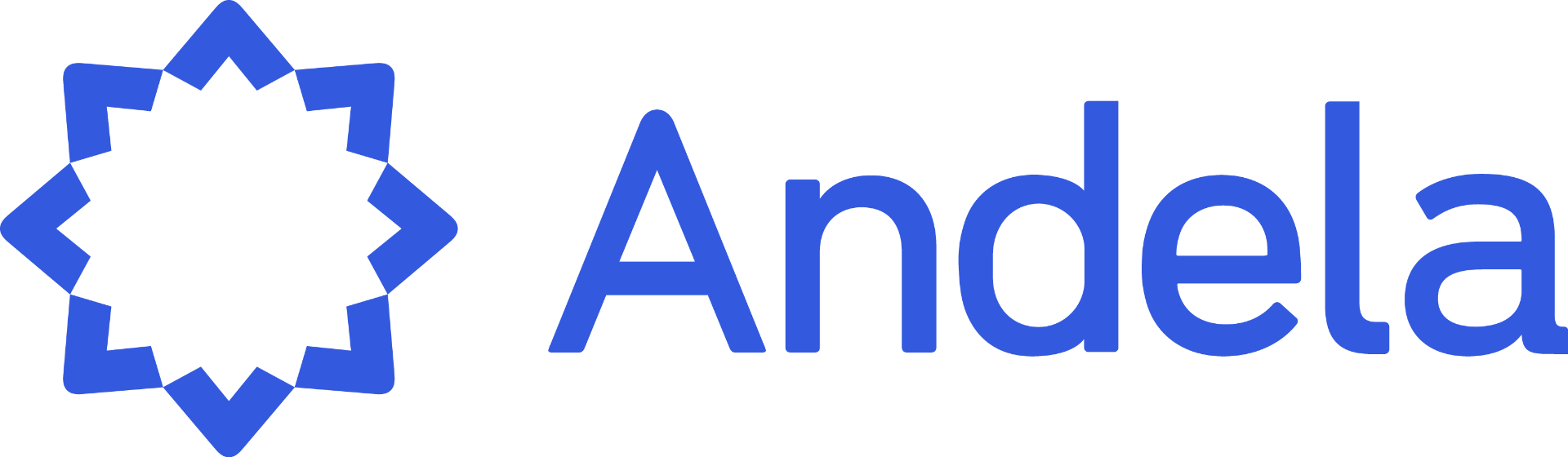 Andela - Trusted client